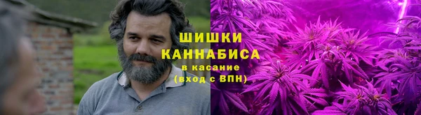индика Осинники