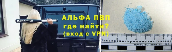 индика Осинники