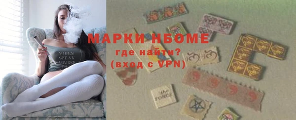 индика Осинники