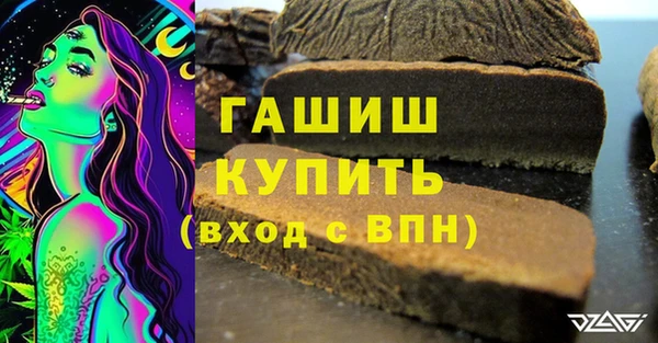 индика Осинники
