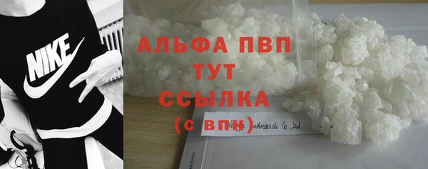 индика Осинники