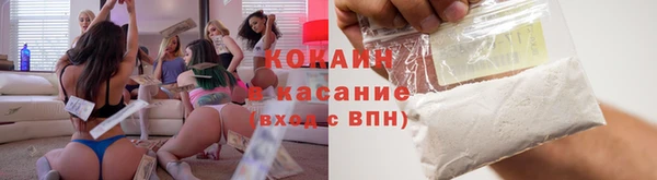 индика Осинники