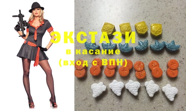 индика Осинники