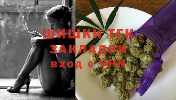 индика Осинники