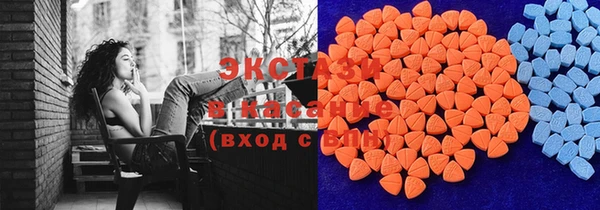 индика Осинники
