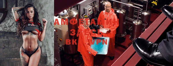 индика Осинники