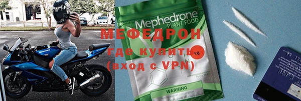 индика Осинники