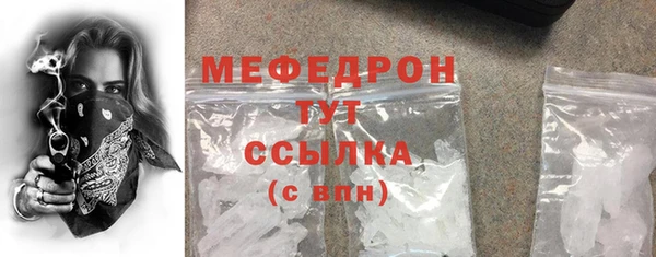 индика Осинники